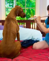 Abby Winters - 01-001