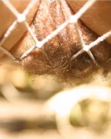 Abby Winters - 95-rachel096